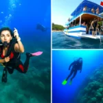 Alanya'da dalış: eğitmen eşliğinde iki dalış, teknede öğle yemeği, otele/otelden transfer. Yeni başlayanlar ve sertifikalı dalgıçlar için uygundur.