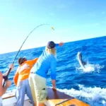 Морская рыбалка на яхте в Алании: небольшая группа, рыбалка, купание, обед и безалкогольные напитки, трансфер от/до отеля и виды Средиземного моря.